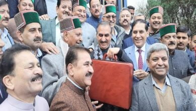 Himachal Pradesh Budget 2024: सरकार ने गाय-भैंस के दूध के लिए बढ़ाई MSP, जानें नए दाम