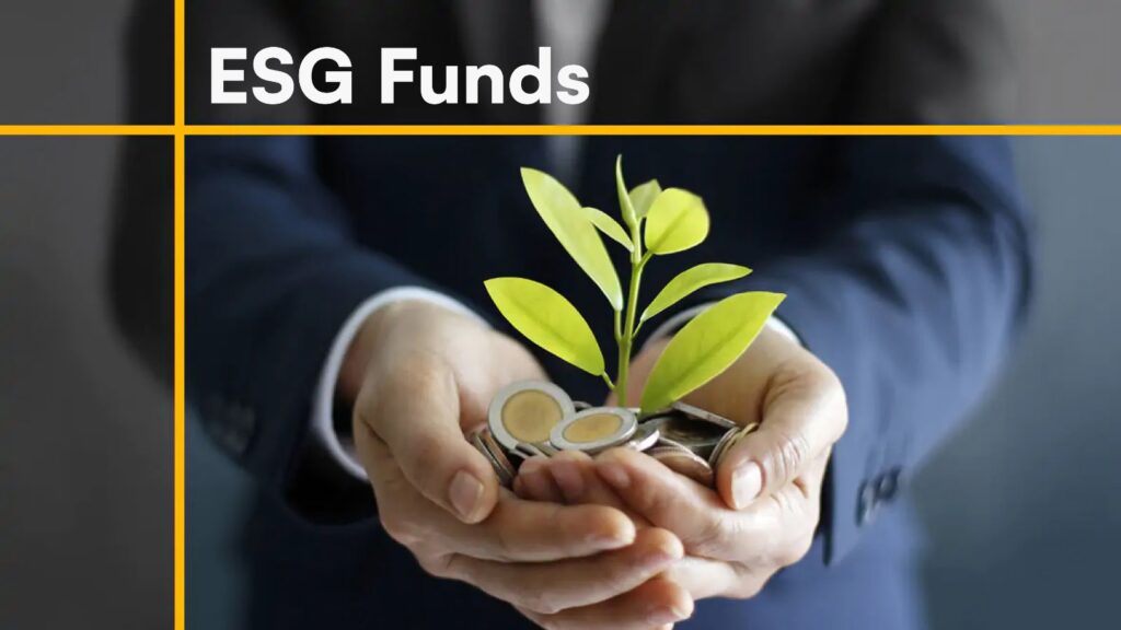 ESG funds full form