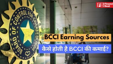 BCCI Earning Sources in Hindi